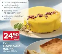 Stokrotka Tort tropikalna malina lazur oferta
