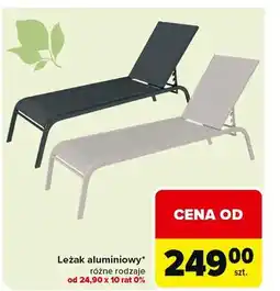 Carrefour Leżak ogrodowy aluminiowy oferta