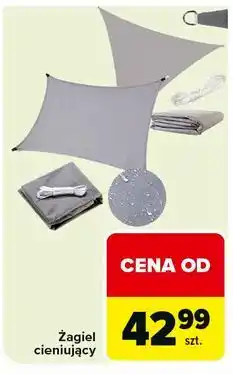Carrefour Żagiel ogrodowy oferta