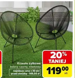 Carrefour Krzesło żyłkowe oferta