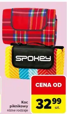 Carrefour Koc piknikowy 130 x 150 cm Spokey oferta