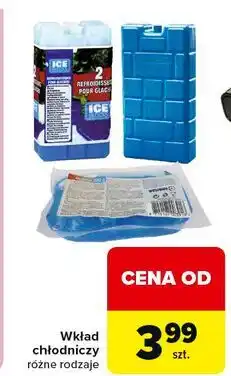 Carrefour Wkład do lodówki turystycznej oferta