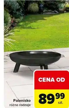 Carrefour Palenisko oferta