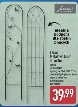 ALDI BELAVI Metalowa krata do roślin oferta