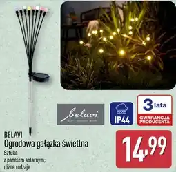 ALDI BELAVI Ogrodowa gałązka świetlna oferta