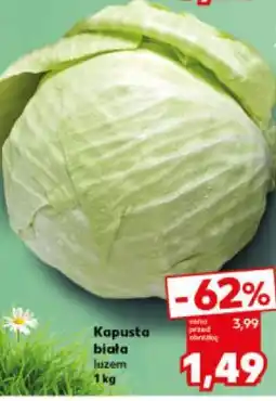 Kaufland Kapusta biała oferta
