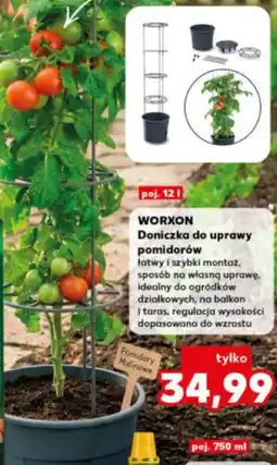 Kaufland WORXON Doniczka do uprawy pomidorów oferta