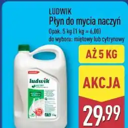 ALDI LUDWIK Płyn do mycia naczyń oferta