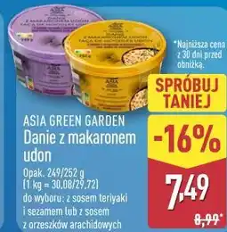 ALDI ASIA GREEN GARDEN Danie z makaronem udon oferta