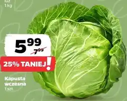 Netto Kapusta wczesna oferta