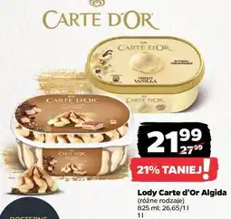 Netto Lody Carte d'Or Algida oferta