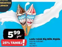 Netto Lody rożek Big Milk Algida oferta