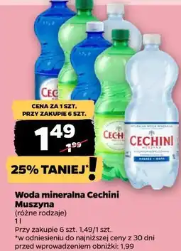 Netto Woda mineralna Cechini Muszyna oferta