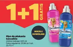 Netto Płyn do płukania Coccolino oferta