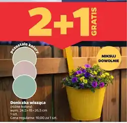 Netto Doniczka wisząca oferta
