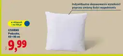 Lidl Poduszka 40×40cm oferta