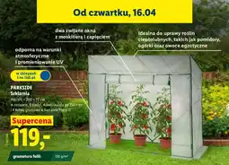 Lidl Szklarnia, 146/176 × 200 × 77 cm oferta