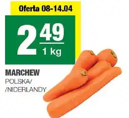 Spar Marchew polska/niderlandy oferta