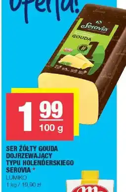 Spar Ser żółty Gouda dojrzewający typu holenderskiego Serovia oferta