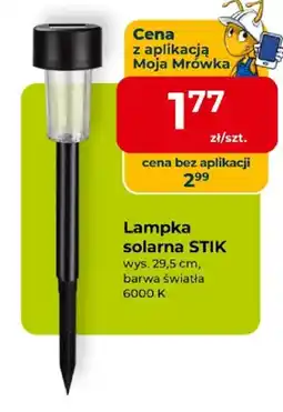 Mrówka Lampka solarna Stik oferta