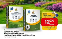 Mrówka Mieszanka nasion trawa sportowa oferta