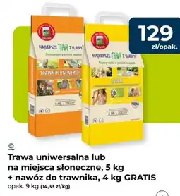Mrówka Trawa uniwersalna lub na miejsca słoneczne + nawóz do trawnika GRATIS oferta