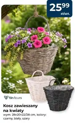 Mrówka Kosz zawieszany na kwiaty oferta