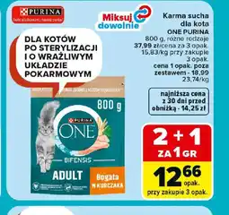 Carrefour Purina One karma sucha dla kota oferta