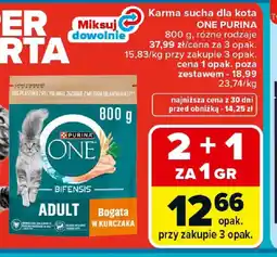 Carrefour Purina One karma dla kota oferta
