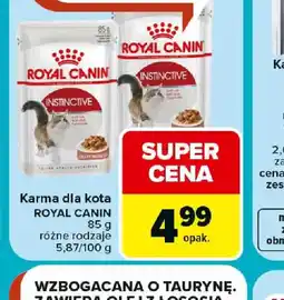 Carrefour Karma dla kota Royal Canin oferta