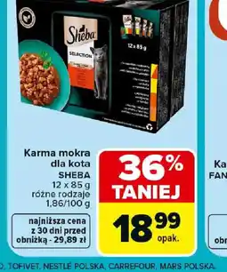 Carrefour Sheba karma mokra dla kota oferta