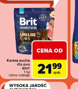 Carrefour Brit Karma sucha dla psa oferta