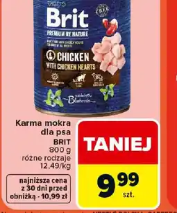 Carrefour Brit Karma mokra dla psa oferta