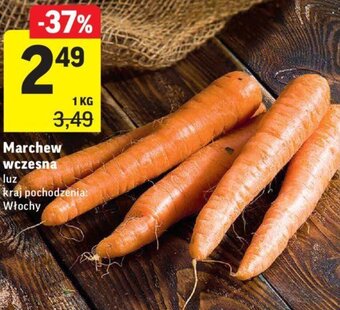 Intermarche Marchew wczesna 1kg oferta