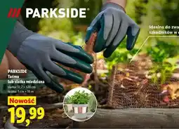 Lidl PARKSIDE Taśma lub siatka miedziana oferta