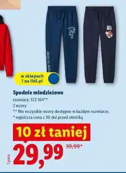 Lidl Spodnie młodzieżowe oferta