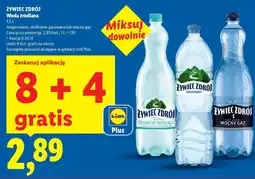 Lidl Zywiec Zdrój Woda źródlana oferta