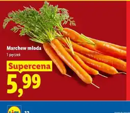 Lidl Marchew młoda oferta