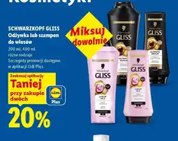 Lidl Schwarzkopf Gliss Odżywka/szampon oferta