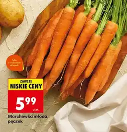 Biedronka Marchewka młoda oferta