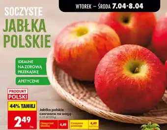 Biedronka Jabłka polskie czerwone na wagę oferta