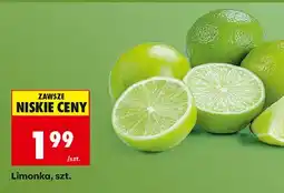 Biedronka Limonka oferta
