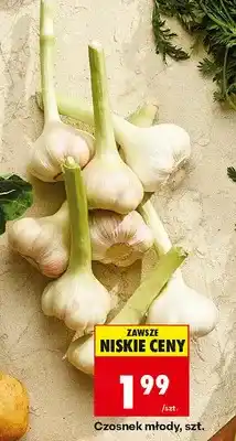 Biedronka Czosnek młody oferta