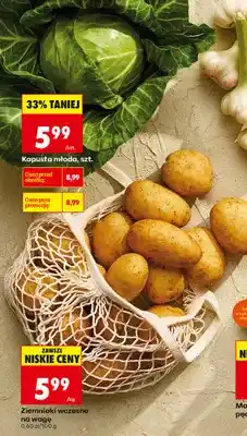 Biedronka Kapusta młoda oferta