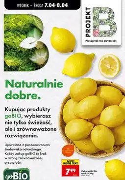 Biedronka Cytryna oferta