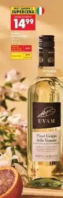 Biedronka Wino Pinot Grigio oferta