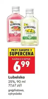 Biedronka Wódka cytrynówka oferta