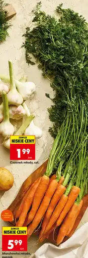 Biedronka Marchewka młoda, pęczek oferta