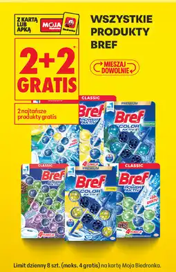 Biedronka WSZYSTKIE PRODUKTY BREF oferta
