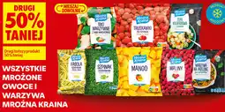 Biedronka WSZYSTKIE MROŻONE OWOCE I WARZYWA MROŹNA KRAINA oferta